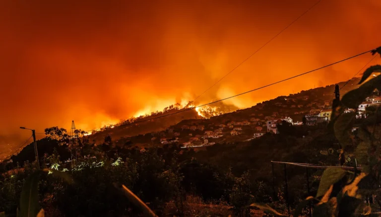 Limpeza de Terrenos 2023